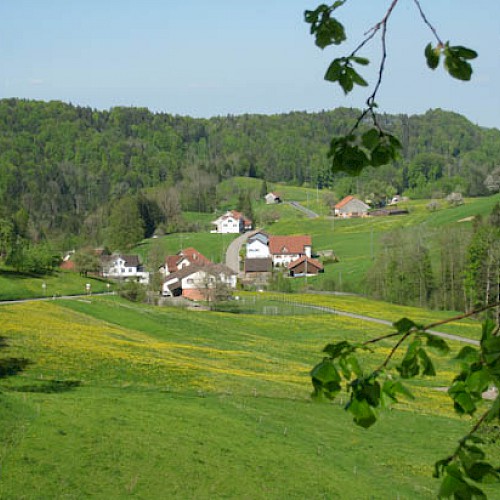 Käserei Schurten